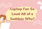 Laptop Fan So Loud All of a Sudden: Why?