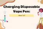 Charging Disposable Vape Pen: How To?