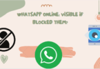 WHATSAPP ONLINE: VISIBLE IF BLOCKED THEM?