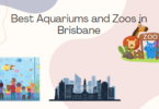Best Aquariums and Zoos in Brisbane