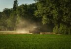 combine harvester amidst dust in a wheat field at dusk